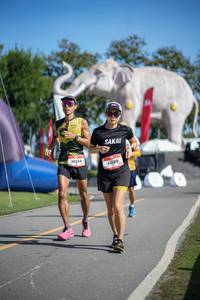 BIB: 
                            <button type="button" onclick="openModal(26542857)" class="btn btn-primary btn-sm float-right btn-popup" data-toggle="modal" data-target=".modal-high-quality">
                        <i class="fas fa-shopping-cart"></i> Add to Cart
                    </button>
                                            <button type="button" onclick="isThisMe(26542857, true)" class="btn btn-success btn-sm float-right btn-popup btn-isme hidden" data-toggle="tooltip" data-placement="bottom" title="นี่คือรูปของคุณใช่ไหม คลิกที่นี่เพื่อเอาเข้าอัลบั้ม">
                        <i class="fas fa-plus"></i> Add to album
                    </button>
                    <button type="button" onclick="isThisMe(26542857, false)" class="btn btn-warning btn-sm float-right btn-popup btn-isnotme hidden">
                        <i class="fas fa-ban"></i> Remove from album
                    </button>